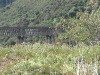 Taieri Gorge Train