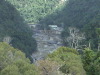 Rain Forest Skyway Cairns