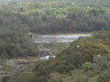 Rain Forest Skyway Cairns