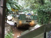 WW2 Army Duck Rain forest ride Kuranda Cairns