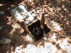 Cu Chi Tunnels