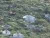 Lantau Island Chinese Graves