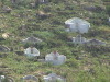 Lantau Island Chinese Graves